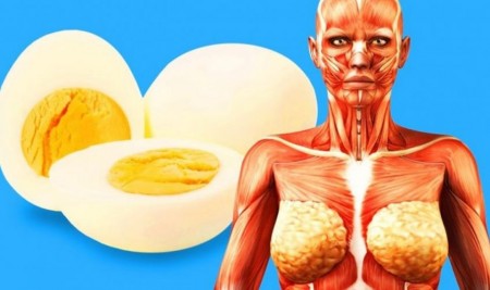 9 բան, որ կկատարվի Ձեր մարմնի հետ, եթե ամեն օր 2 ձու ուտեք

