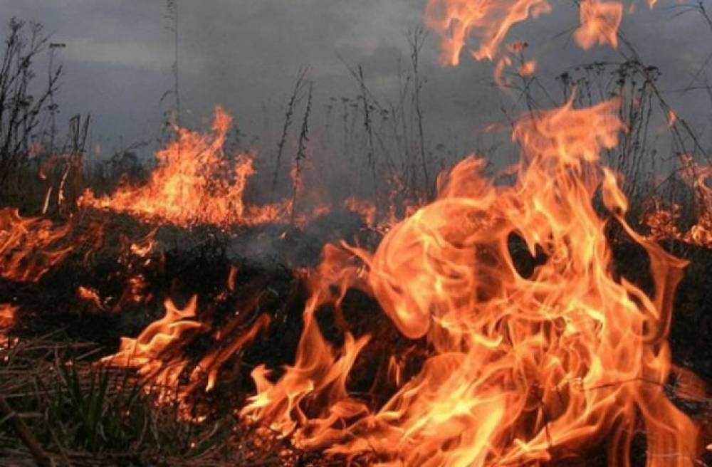 Վանաձոր-Սպիտակ ավտոճանապարհին այրվել է մոտ 2000 քմ խոտածածկույթ