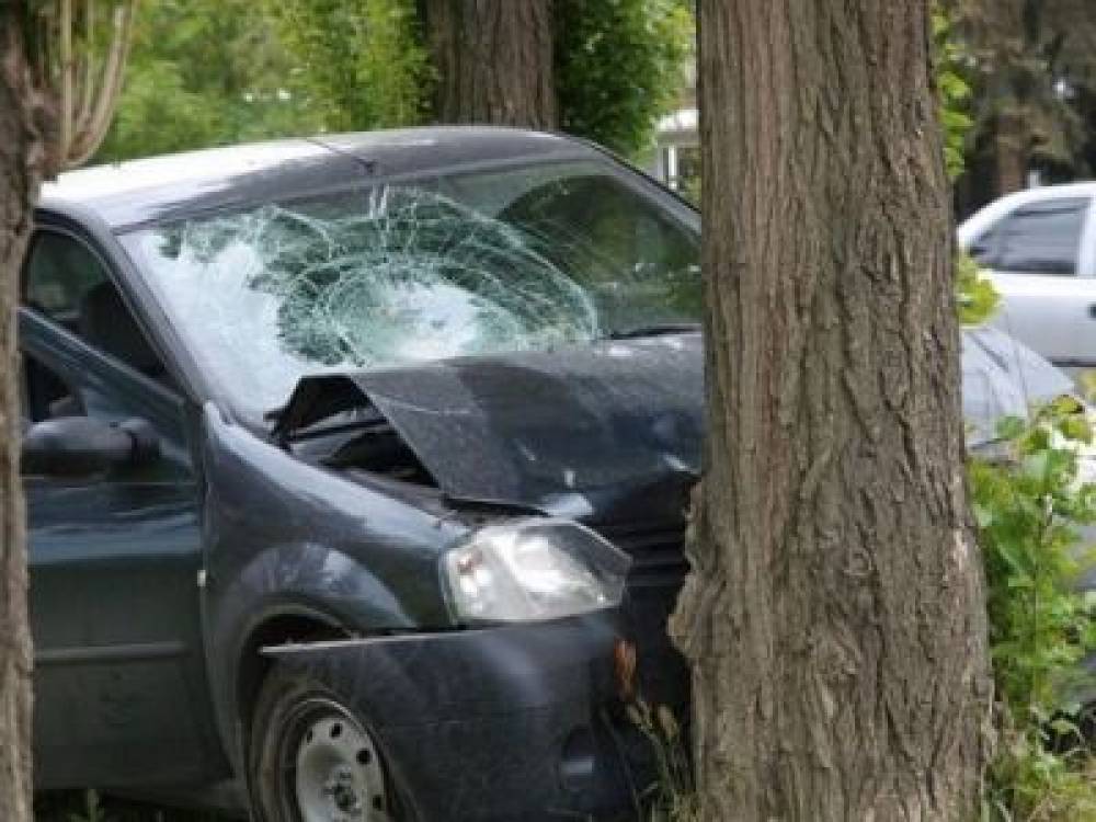 Գեղարքունիքում մեքենան հարվածել է ծառերին. ղեկին անչափահաս է եղել