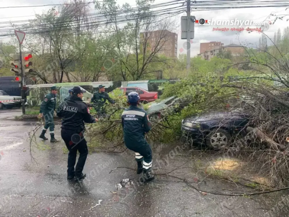 Ուժեղ քամու հետևանքով Գայի պողոտայում ծառը կոտրվել, ընկել է մեքենաների վրա