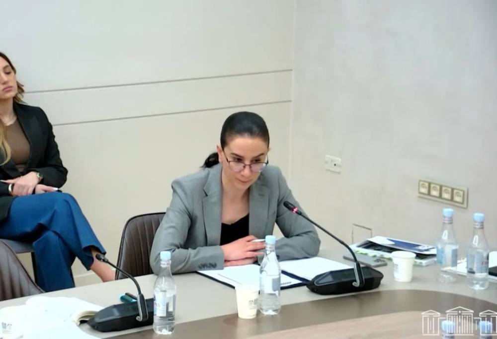Աննա Վարդապետյանը չի հիշում ու անգիր չի կարող ասել՝ Ցեղասպանության ու մարդկայնության դեմ ուղղված հանցագործությունների հրապարակային հերքման մասով վարույթներ կա՞ն, թե՞ ոչ