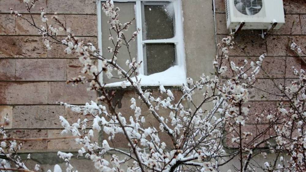 ՈւՇԱԴՐՈՒԹՅՈՒՆ. ապրիլի 14-ի լուսադեմին մի քանի մարզում սպասվում են ցրտահարություններ