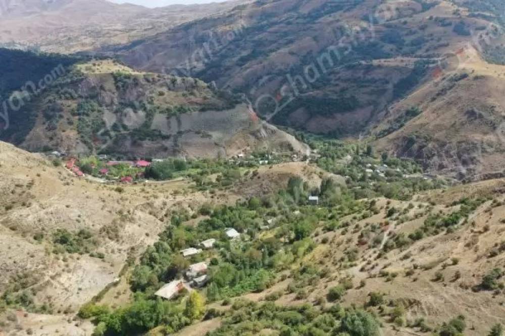 Արտակարգ դեպք՝ Վայոց ձորի մարզում․ արջը հոշոտել է գյուղացուն պատկանող ցուլիկին