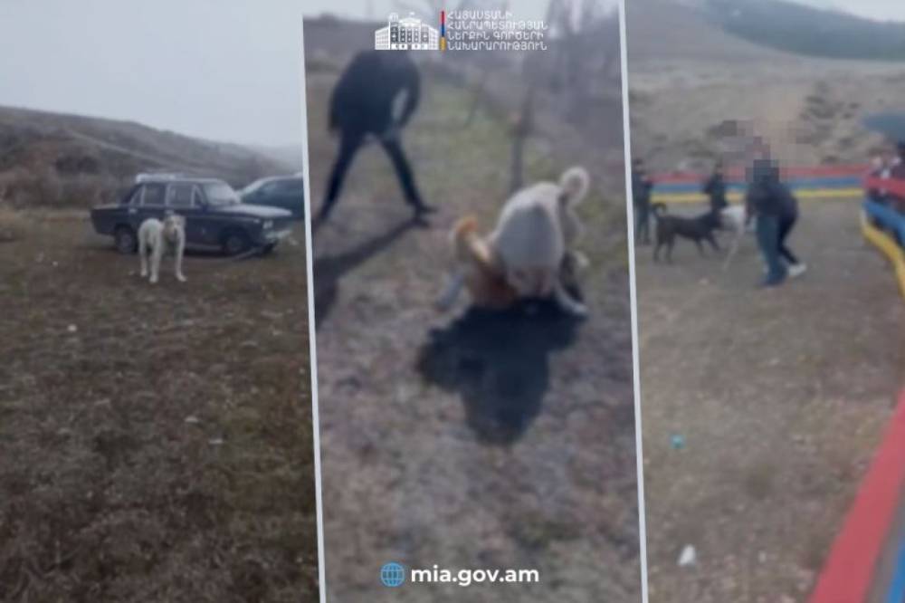 Շնամարտ է կանխվել. կենդանու նկատմամբ դաժան վերաբերմունքը քրեորեն պատժելի է