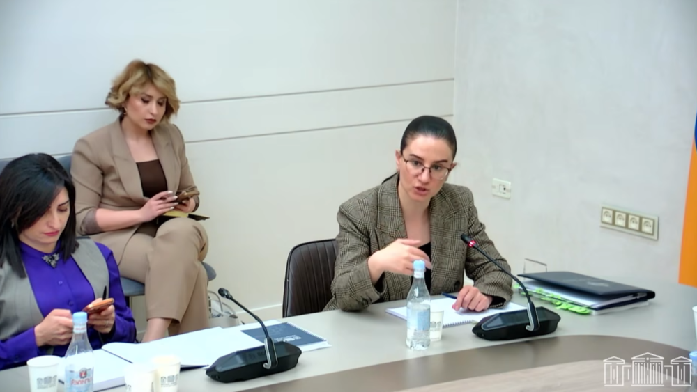 Այդ ագրեսիային ես էլ եմ ամեն օր բախվում և՝ անընդհատ ու ագրեսիային պատասխանել եմ միշտ ու համբերությամբ. Աննա Վարդապետյան