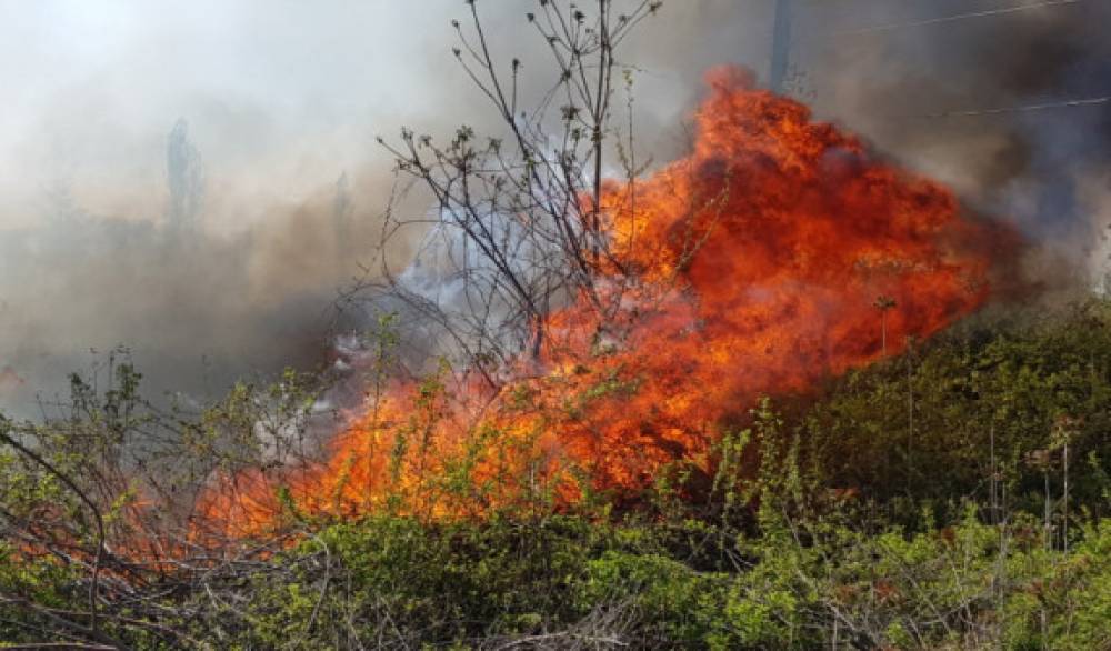 Ադրբեջան մի քանի շրջաններում անտառային հրդեհներ են մոլեգնում