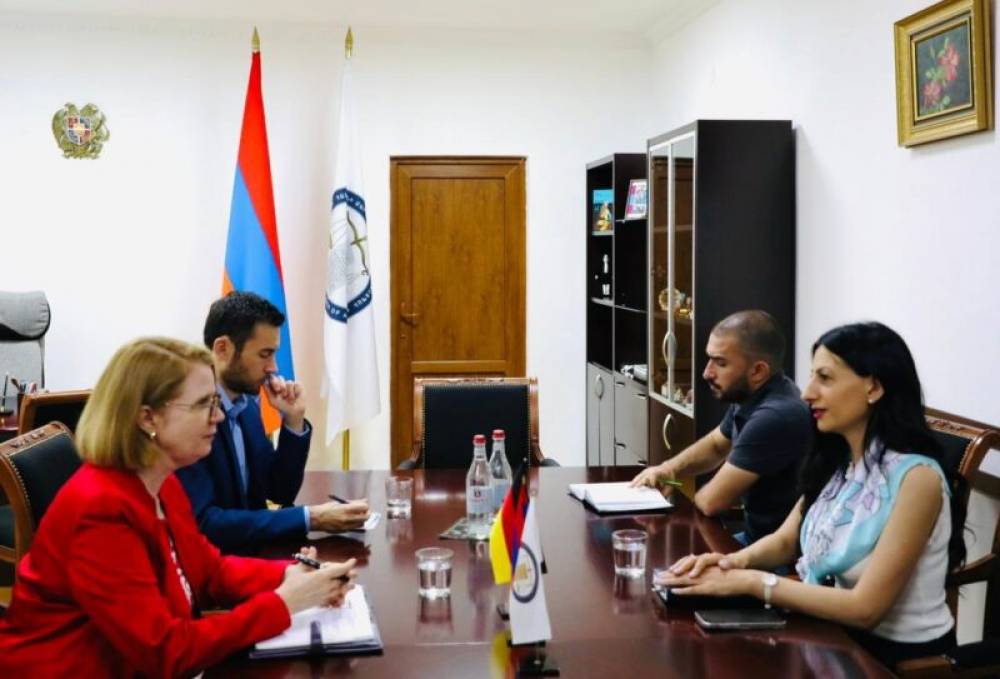 Անահիտ Մանասյանն ու Գերմանիայի դեսպանը քննարկել են մարդու իրավունքների պաշտպանությանն առնչվող հարցեր