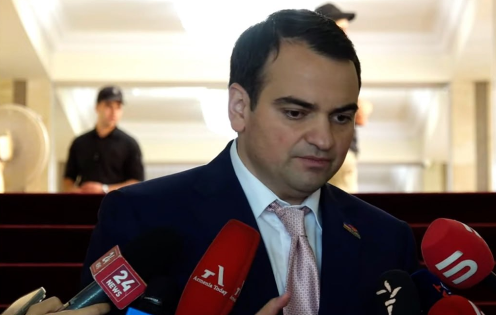 Համարյա մեզ համոզել էիք, շուռ եկա տեսա կեսը բերդից են եկել այստեղ. Նարեկ Կարապետյան