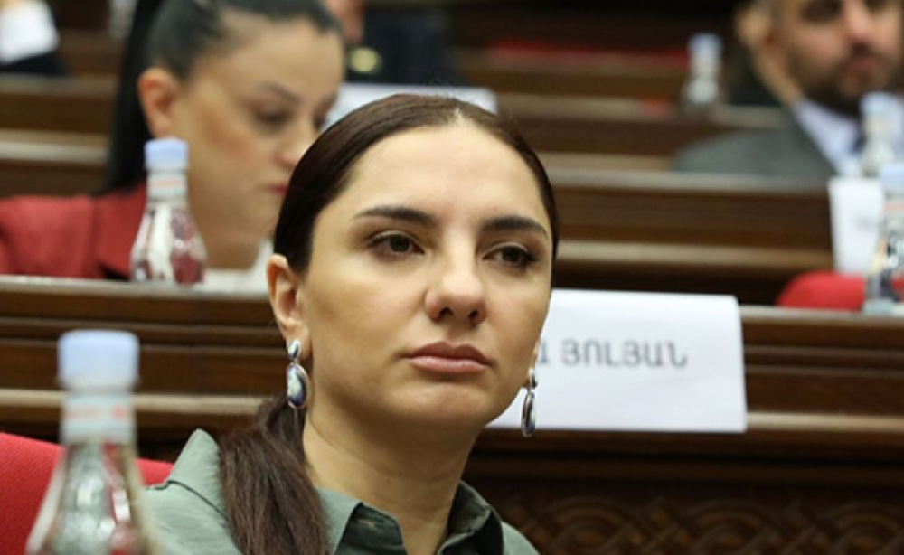 Եվրոպական ինտեգրումը ոչ ընդդիմության, ոչ իշխանության օրակարգը չի կարող լինել, այն ՀՀ օրակարգը պետք է լինի. Արեգա Հովսեփյան