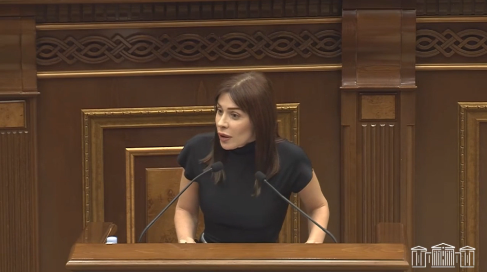Քյաբաբից շատ խոսեցինք, քանի՞ քյաբաբ եք տվել ՔՊ-ին, որ Վարդևանյանին ընտրեցիք ԱԺ փոխնախագահ. Ագնեսա Խամոյան