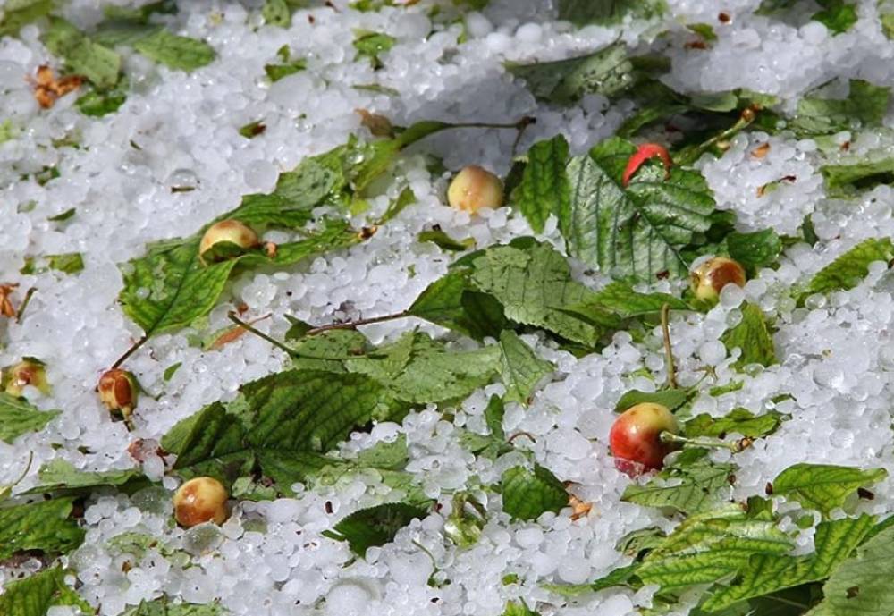 Անձրևները կլինեն հորդառատ, հնարավոր է կարկուտ․ ինչ եղանակ է սպասվում Հայաստանում