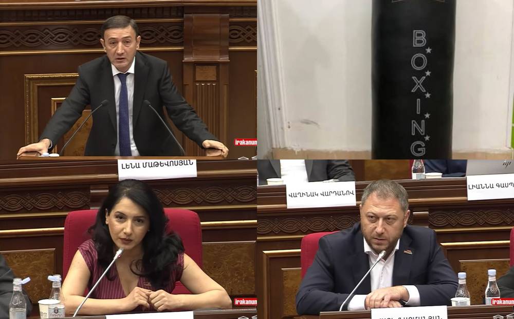 Կարեն Կարապետյանի գովազդն էինք անում․ մարդ կա ամեն ինչ անում է՝ բոքսի տանձիկ աշխատի