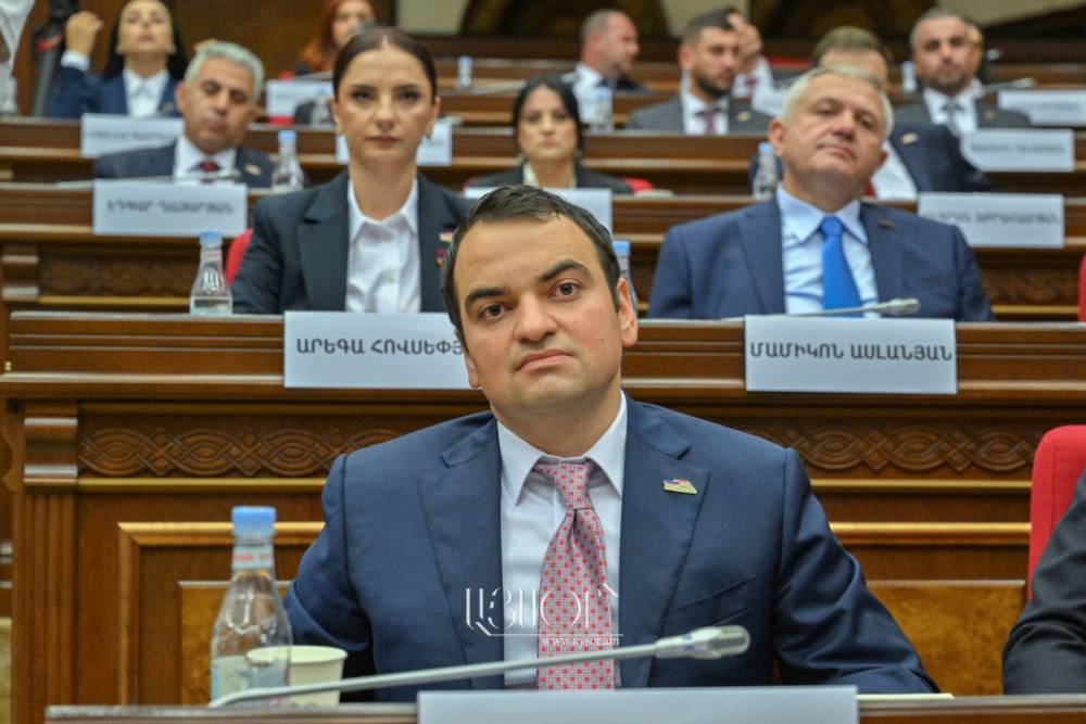 Եվրոպայից 2 կարևոր բան պետք է ստանանք. Նարեկ Կարապետյան (Տեսանյութ)