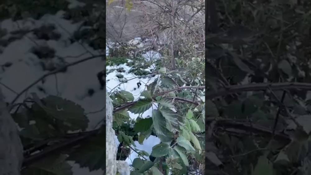 Կադրեր` դեկտեմբերի 27-ին Հադրութում տեղի ունեցած «մարտերից» (տեսանյութ)