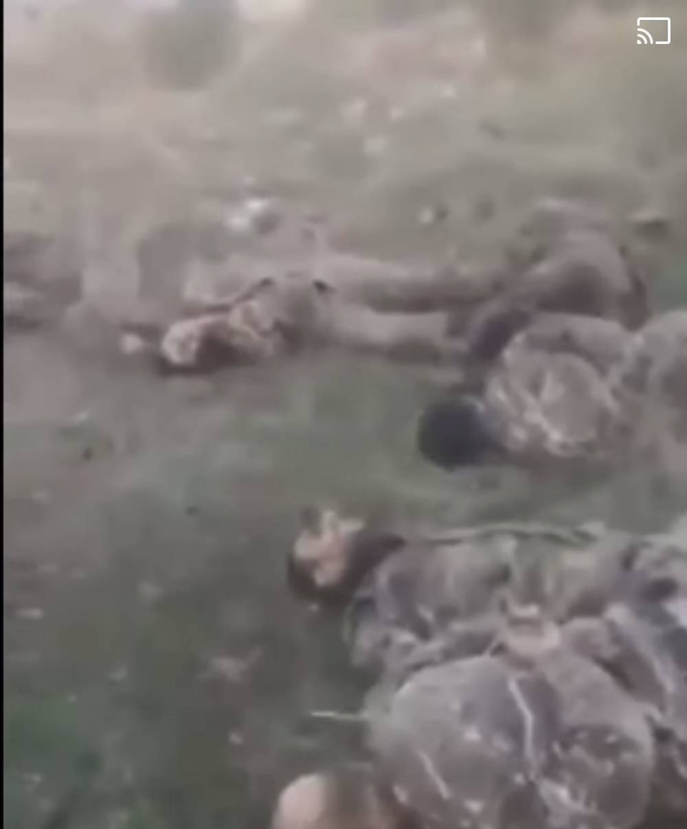 Թշնամին հաղորդում է 11 հայ գերիներին սպանելու մասին. 18+ (տեսանյութ) Mediaport