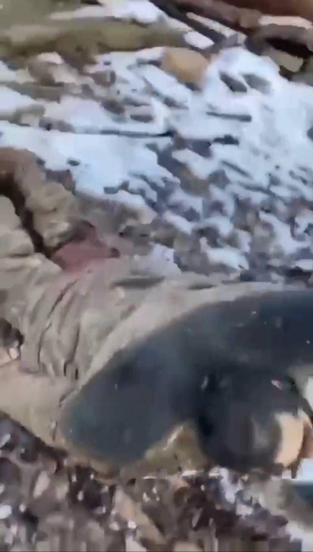 Արցախի ՊԲ-ն ստում էր, իսկ Նիկոլ Փաշինյանը զբաղված է բացառապես վարչապետի աթոռը պահելով․ Mediaport