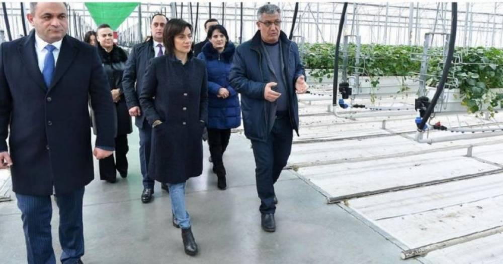 Աննա–Էրատոյից Աննա–Ագրոնոմկա մեկ քայլ է