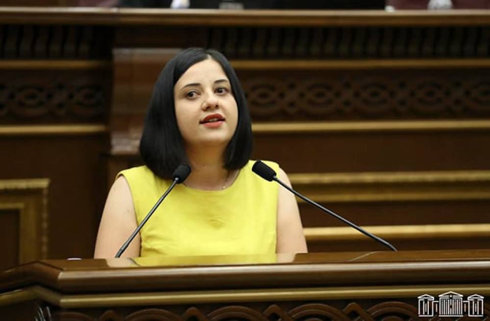 «1,5 մլն դրամը ՌԴ-ից ուղարկել է բարեկամը»․ Պալյանը սխալ է լրացրել հայտարարագիրը․ կիրառվել է տույժ