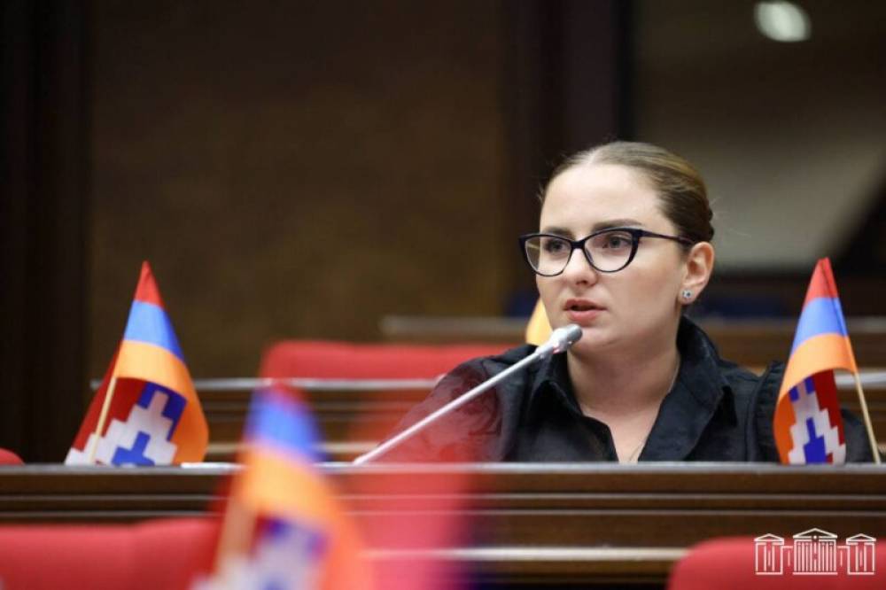 Իշխանությունը մարդկանց թիրախավորում է, որ հանրային աջակցությունից զրկի ու հարձակվի․ Վարդանյան