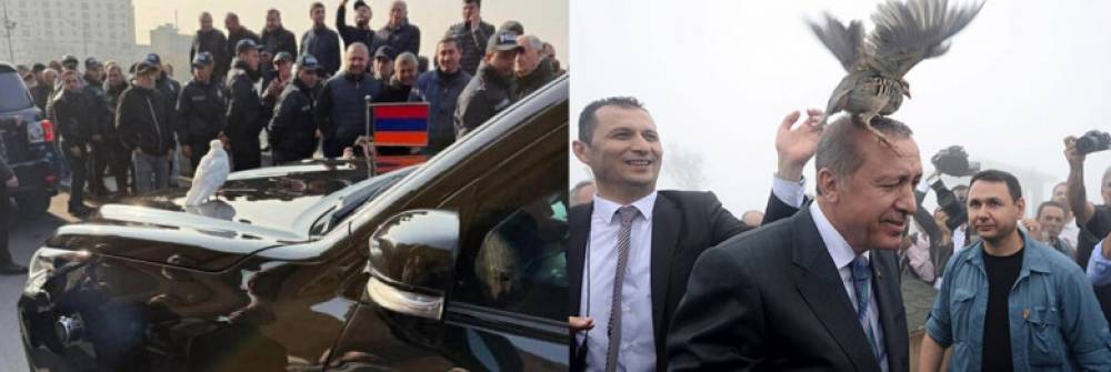 Որտեղի՞ց են վերցրել «աղավնի» տեխնոլոգիան. «Փաստ»