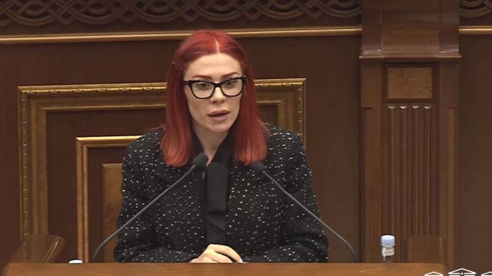 Բոլորին մի քիչ, մի քիչ սկզբունքը մեծ հաշվով աշխատող տարբերակ չէ. Խամոյանը՝ առողջության համընդհանուր ապահովագրության մասին