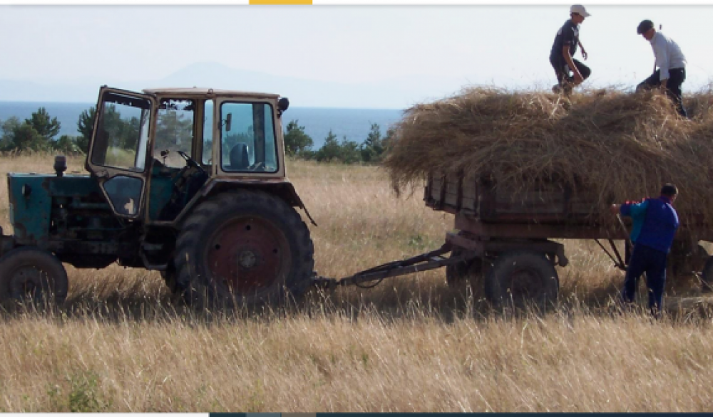 Ադրբեջանցիները նշանառության տակ են պահում Մարտունու գյուղերի ցորենի արտերը, խաղողի ու նռան այգիները, կրակում վարուցանք անող գյուղացիների ուղղությամբ. Արմեն Բաղրյան