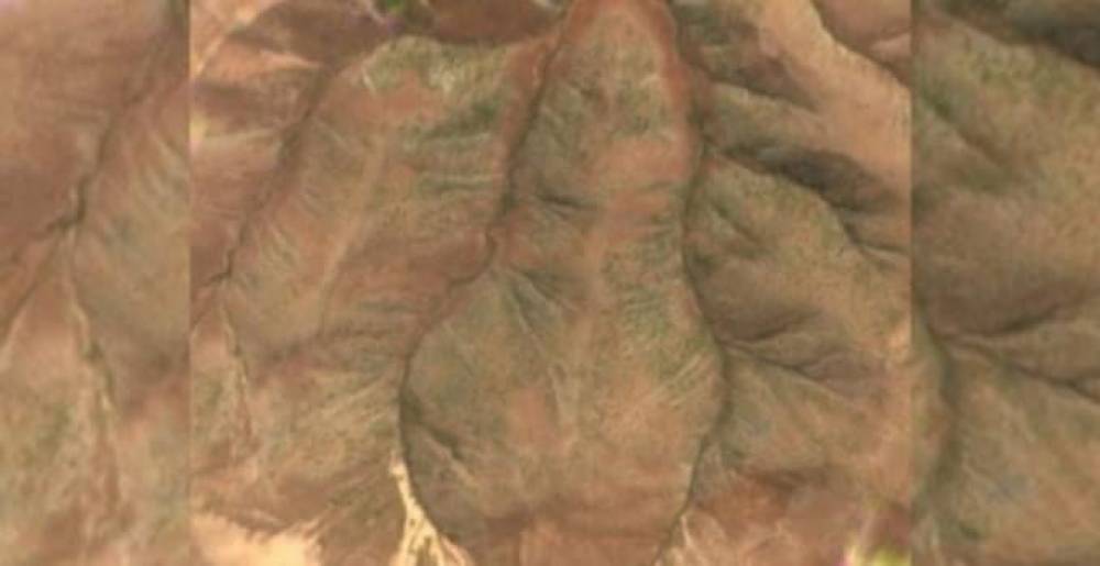 Մեկը կարա՞ բացատրի` ինչիա հայկական արբանյակի արած առաջին լուսանկարը պատկերել Ռոմանոս Պետրոսյանին