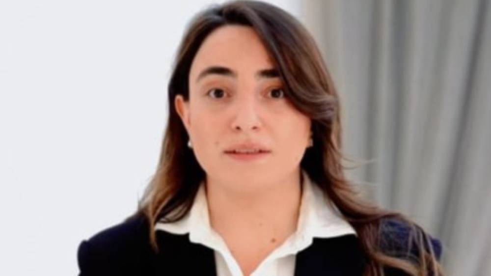 Արդյո՞ք Փաշինյանն ու իր իշխանականները անգլերեն չգիտեն․ «Մեր Ձևով» շարժման անդամ