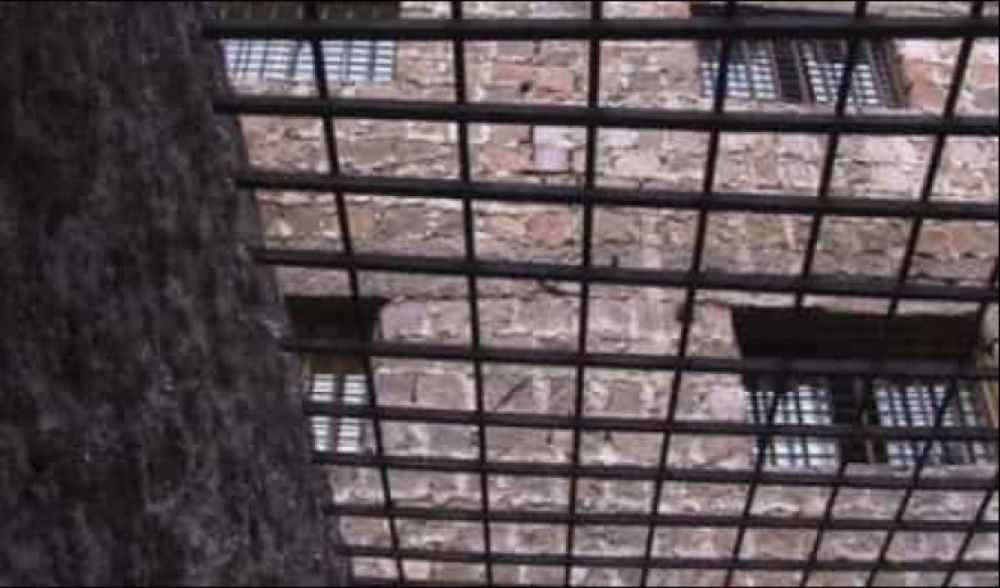 «Նուբարաշեն» ՔԿՀ-ում թմրամիջոց է հայտնաբերվել