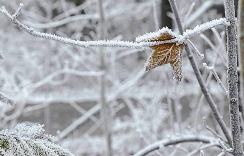 Հայաստանում եղանակը կցրտի 3-4 աստիճանով, սպասվում է ձյուն
