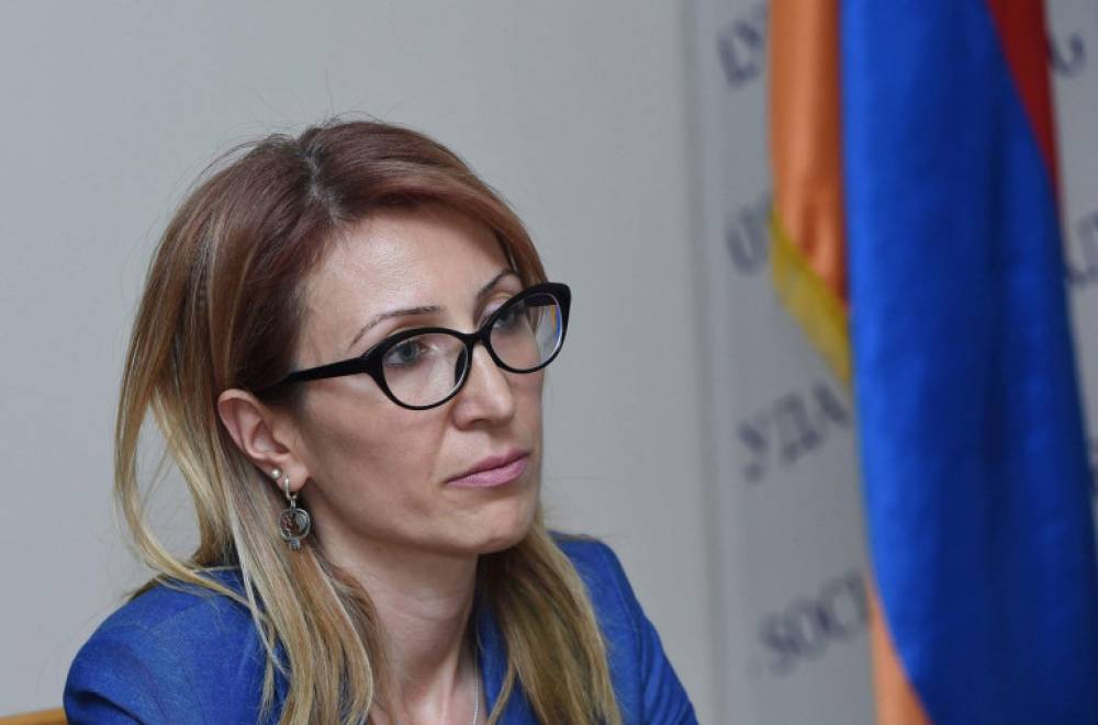 Էրիկի ծնողները հավատում են, որ ամեն ինչ լավ է լինելու. Նաիրա Զոհրաբյան