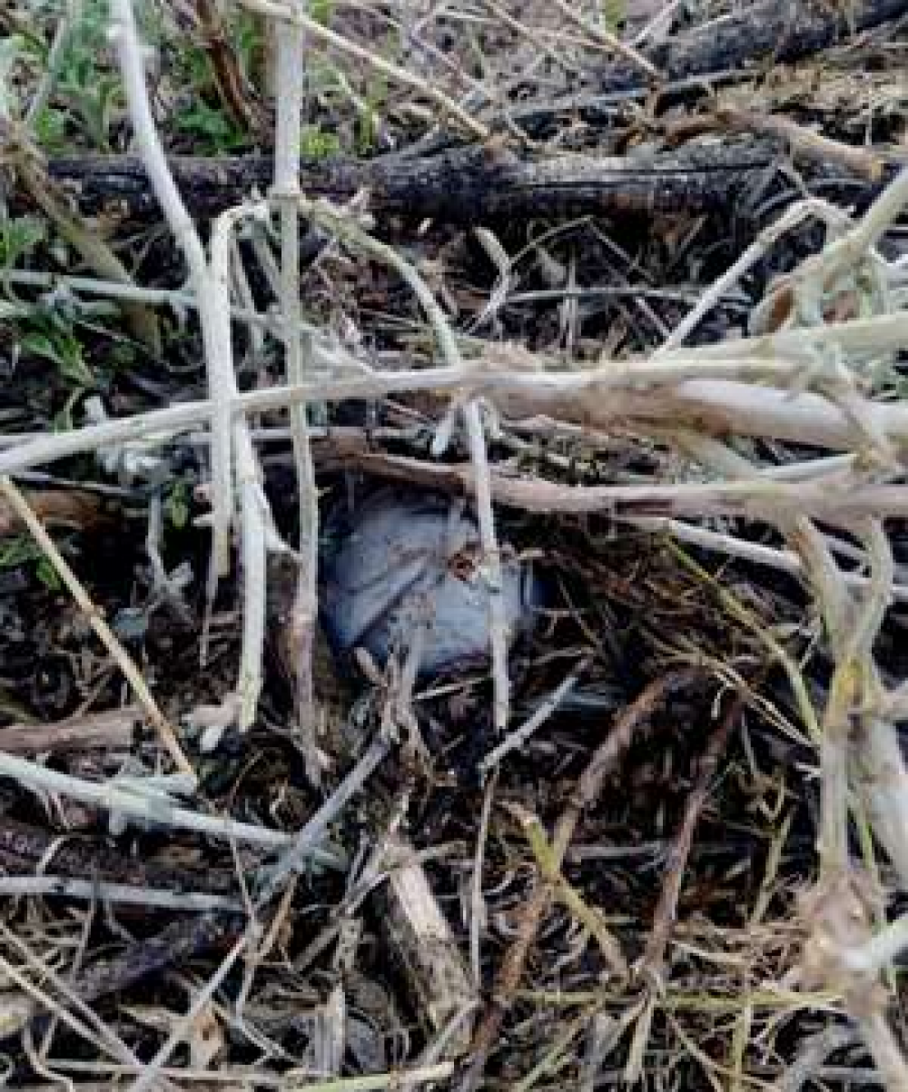 Պայթեցման աշխատանքներ են նախատեսվում Ասկերանի շրջանի Խաչմաչ և Մխիթարաշեն գուղերում. Արցախի ԱՒՊԾ