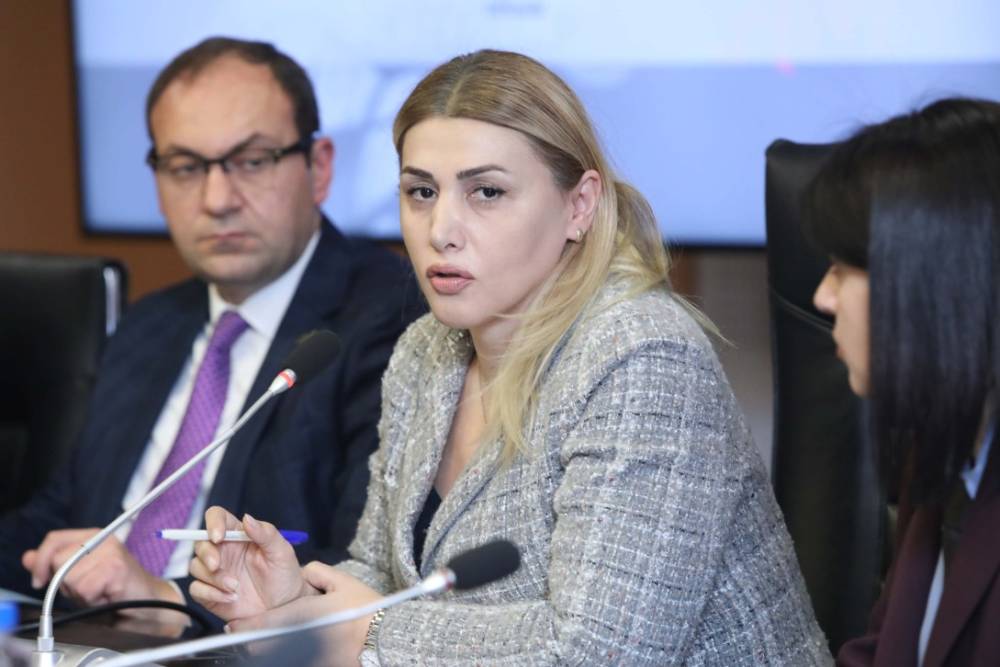 Իշխանությունը պարգևավճարներով պետական աշխատողներին դարձնում է թրաֆիքինգի զոհ. Էլինար Վարդանյան (Տեսանյութ)