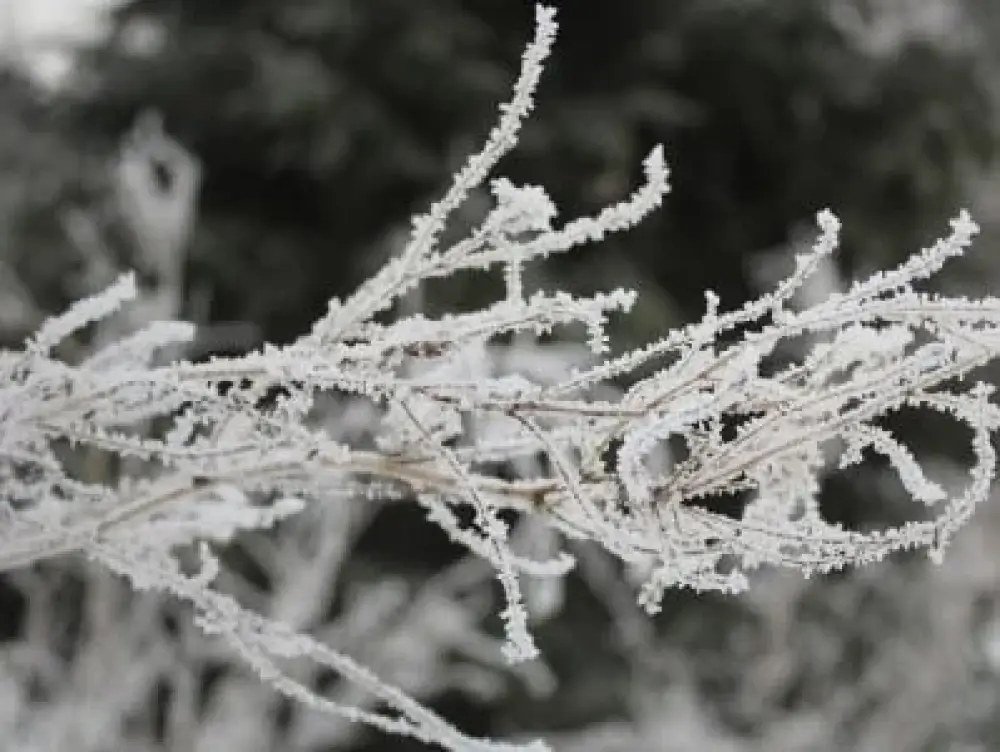 Ջերմաստիճանը կնվազի 10-13 աստիճանով