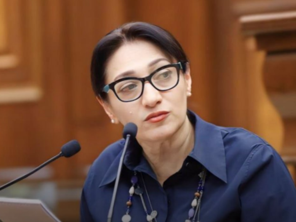 Ձերը պարկեր ստանալն է, քարոզչական թիթեռ նկարելը, ստրկական հաճոյաբանությունը․ Լիլիթ Գալստյան