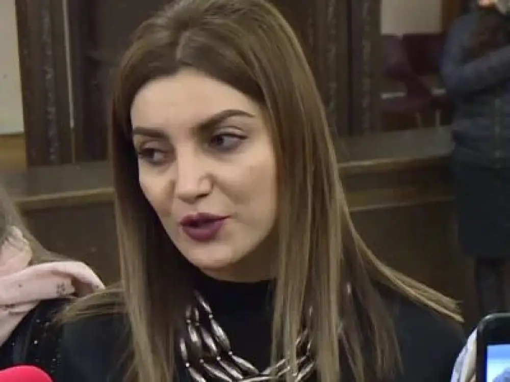 Ոչ մի կանխակալ կամ դրական վերաբերմունք չկա, իսկ ինչու կալանք չի եղել, նախաքննության մարմինը պիտի ասի. Դիանա Գասպարյան