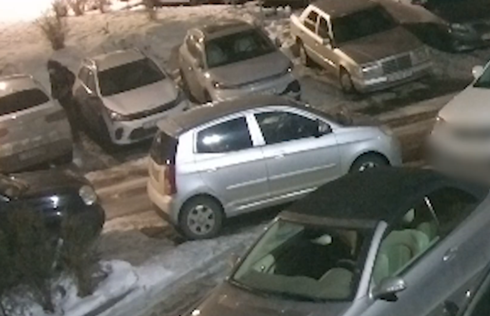 Ավանի համայնքային ոստիկանները ձերբակալել են մեքենայի հայելիներ գողացող երիտասարդներին (տեսանյութ)