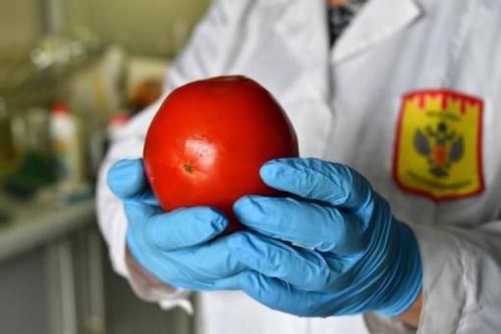 Արգելվել է Ադրբեջանից ավելի քան 47 տոննա լոլիկի և 14 տոննա ելակի ներմուծումը Ռուսաստան