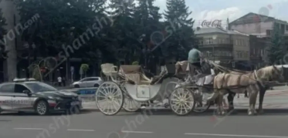 Գյումրիում ձին կծել է 7-ամյա աղջկա թևը. նրան տեղափոխել են հիվանդանոց