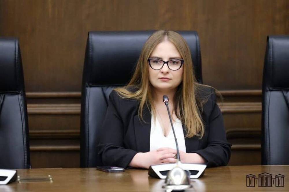 Խուզարկությունները նպատակ ունեն խոչընդոտելու Մայր Աթոռի պաշտպանությանը՝ արդեն ծրագրած հարձակումից