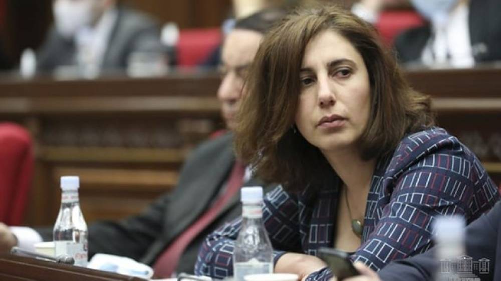 Սոֆիա Հովսեփյանն էլ իր հերթին է դատի տվել Նիկոլ Փաշինյանին