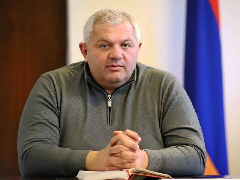 «Ուժեղ Հայաստան» կուսակցությանը միանալուց հետո գործը վերակենդանացվել է. Մամիկոն Ասլանյան