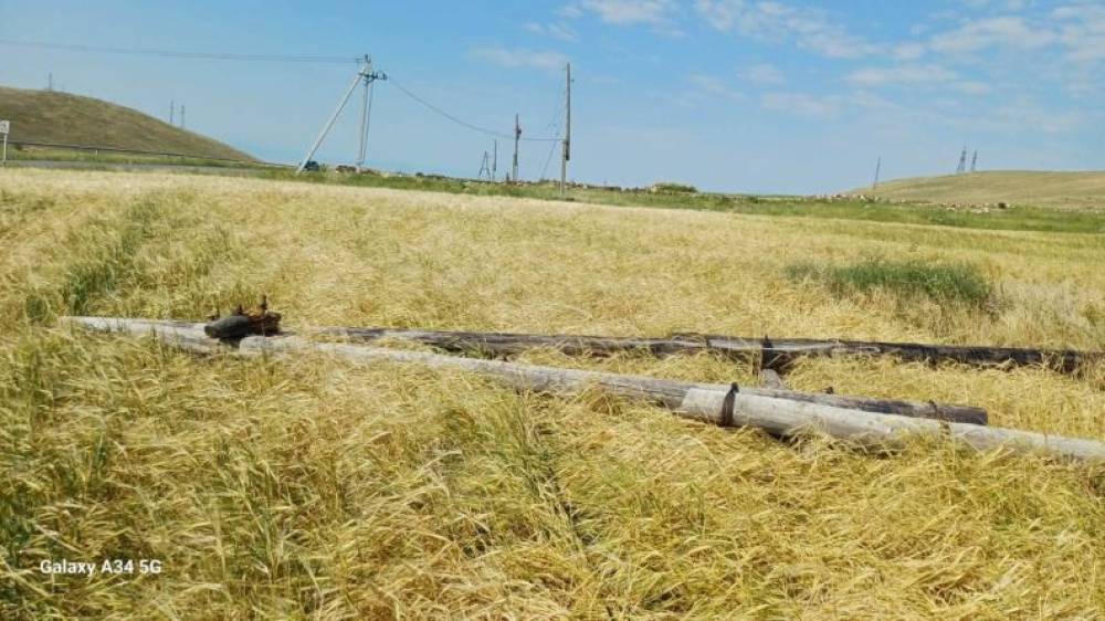 Գիշերն ուժեղ քամու հետևանքով վնասվել և շրջվել են Թալինի մի շարք բնակավայրերը սնուցող էլեկտրահաղորդման գծերի հենասյուները, հոսանք չկա