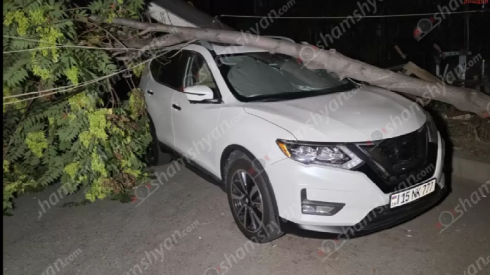 Փտած ծառը տապալվել ու ընկել է կայանված «Nissan Rogue»-ի և «Kia»-ի վրա
