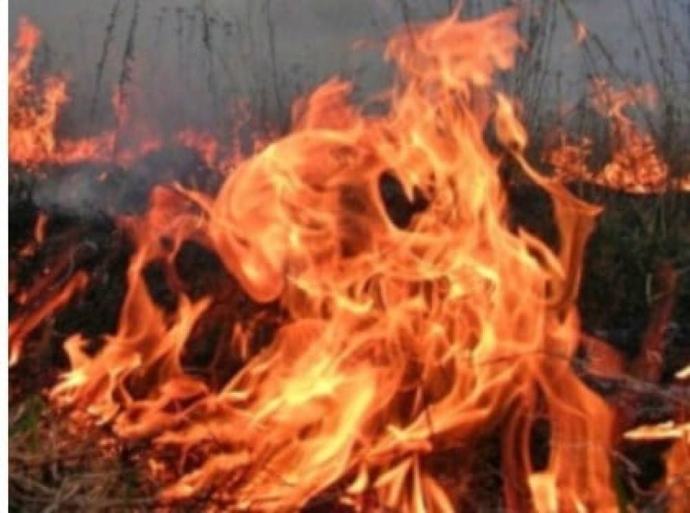 Երեւանի Նալբանդյան փողոցում ծառ է այրվել