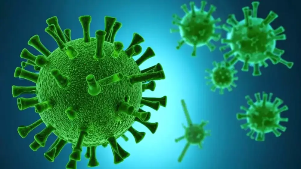 CoViD-19-ի մեկ այլ տարբերակ. «ֆլիրտ» կոչվող նոր շտամը տարածվում է աշխարհով մեկ