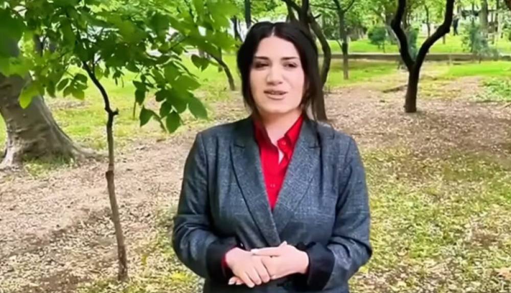 Լրագրող Անուշ Միրզոյանի նկատմամբ վարչական հսկողության կիրառումը մերժվել է․ պաշտպան