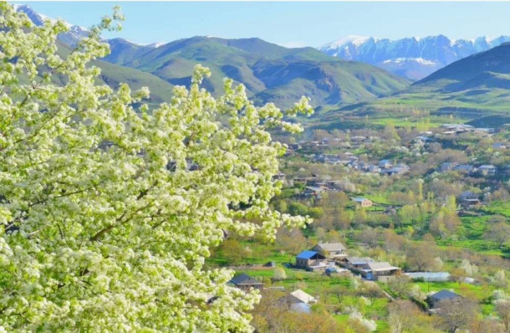 Կլիմայի փոփոխության հետևանքները․վերջին տասնամյակում էքստրեմալ տաք գարուններ են նկատվում Հայաստանում