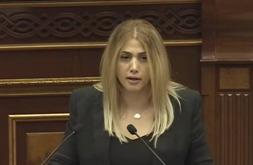 Դուք ադեկվա՞տ եք, դուք կարմիր գիծ ունե՞ք. Էլինար Վարդանյանը՝ ՔՊ-ականներին