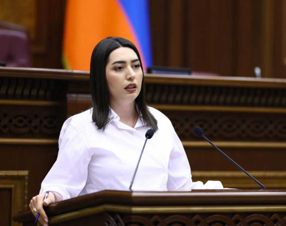 Վարորդական իրավունքի վերականգնման դեպքում կսահմանվի փորձաշրջան՝ 6 բալային միավորով․ ՆԳ նախարարը ներկայացրել է օրենքի նախագիծը